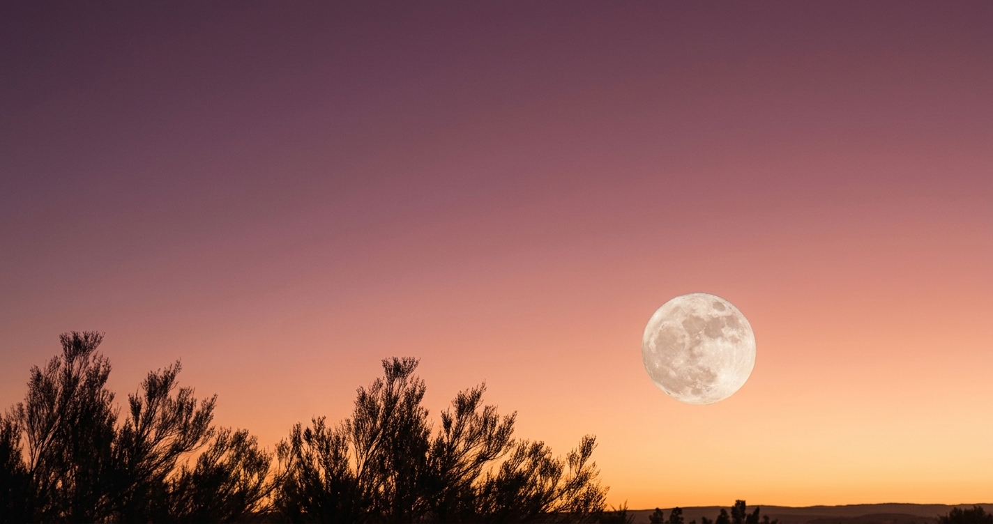 Alt: Romantic good night messages for WhatsApp - couple watching sunset Title: Good Night Messages for WhatsApp